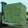 Organic Alfalfa Hay Exporters, Wholesaler & Manufacturer | Globaltradeplaza.com