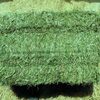 Pure Alfalfa Hay For Sale Exporters, Wholesaler & Manufacturer | Globaltradeplaza.com