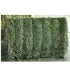 Kenyan Pure Alfalfa For Sale Exporters, Wholesaler & Manufacturer | Globaltradeplaza.com
