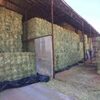 Quality Alfalfa Hay In Cubes Exporters, Wholesaler & Manufacturer | Globaltradeplaza.com