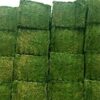 Kenya Grade Alfalfa For Sale Exporters, Wholesaler & Manufacturer | Globaltradeplaza.com
