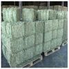 Premium Grade A Alfalfa For Sale Exporters, Wholesaler & Manufacturer | Globaltradeplaza.com