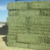 Hay Bales For Sale Exporters, Wholesaler & Manufacturer | Globaltradeplaza.com