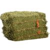 Cheap Alfalfa For Sale Exporters, Wholesaler & Manufacturer | Globaltradeplaza.com