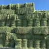 Alfalfa Bales For Sale Exporters, Wholesaler & Manufacturer | Globaltradeplaza.com
