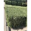 Alfalfa Hay Feed For Animal Exporters, Wholesaler & Manufacturer | Globaltradeplaza.com