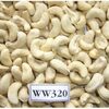 Cashew Nut Kernels Exporters, Wholesaler & Manufacturer | Globaltradeplaza.com