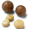 Grade 1 Raw Macadamia Nuts Exporters, Wholesaler & Manufacturer | Globaltradeplaza.com