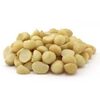 Good Quality Macadamia Nuts Exporters, Wholesaler & Manufacturer | Globaltradeplaza.com
