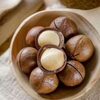 Raw Macadamia Nuts Exporters, Wholesaler & Manufacturer | Globaltradeplaza.com