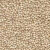 Sesame Seeds Exporters, Wholesaler & Manufacturer | Globaltradeplaza.com