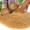 High Grade Refined Icumsa 45 Sugar Exporters, Wholesaler & Manufacturer | Globaltradeplaza.com