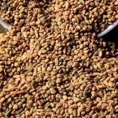 resources of Fenugreek Seeds exporters