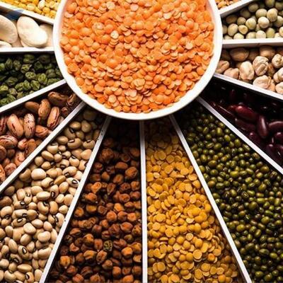 resources of Pulses And Lentils exporters