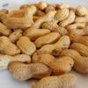 Shelled Peanuts Exporters, Wholesaler & Manufacturer | Globaltradeplaza.com