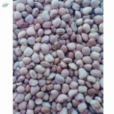 resources of Pink Cowpeas Mada 2020 exporters