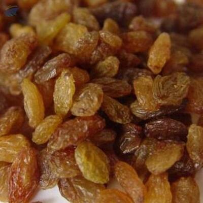 resources of Raisins exporters