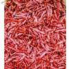 Red Whole Chilly Exporters, Wholesaler & Manufacturer | Globaltradeplaza.com