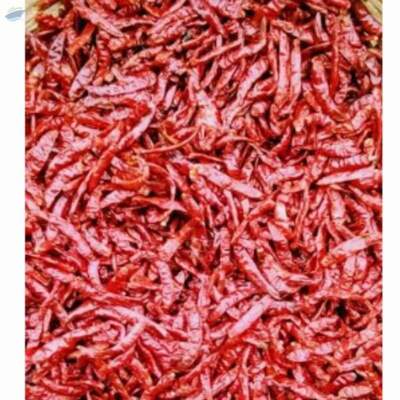 resources of Red Whole Chilly exporters