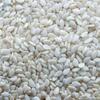 Indian Hulled Sesame Seed 99.98 Exporters, Wholesaler & Manufacturer | Globaltradeplaza.com