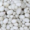 Pure White Pebbles Exporters, Wholesaler & Manufacturer | Globaltradeplaza.com