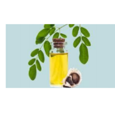 resources of Moringa Oil exporters
