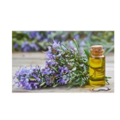 resources of Rosemary Oil exporters