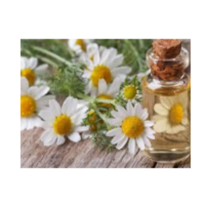 resources of Camomile Oil exporters