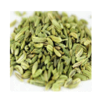 Fennel Seed Exporters, Wholesaler & Manufacturer | Globaltradeplaza.com