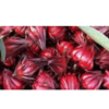 Hibiscus Exporters, Wholesaler & Manufacturer | Globaltradeplaza.com
