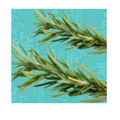 resources of Rosemary exporters