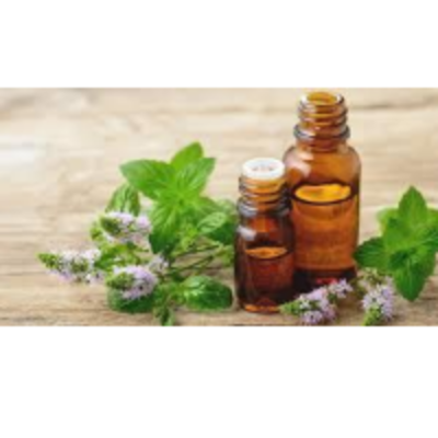 resources of Peppermint Oil exporters