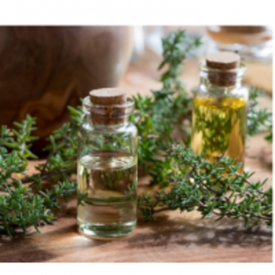 resources of Thyme Oil exporters