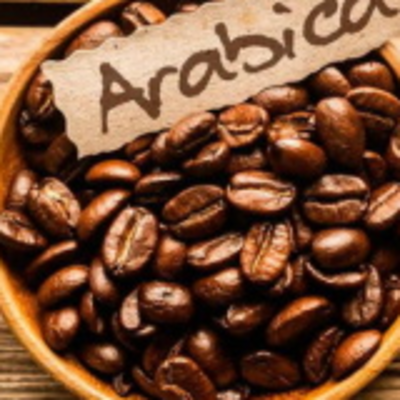 resources of Ethiopian Green Arabica Coffee exporters