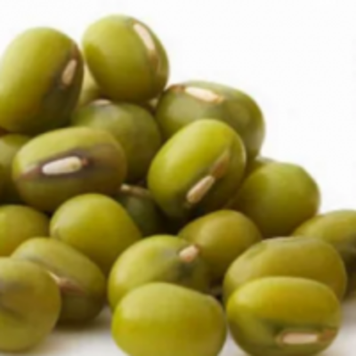 resources of Green Mung Beans exporters