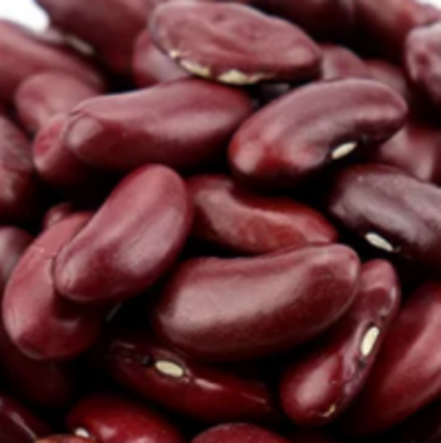 resources of Kidney Beans exporters