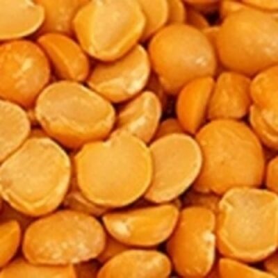 resources of Yellow Split Peas Lentil exporters