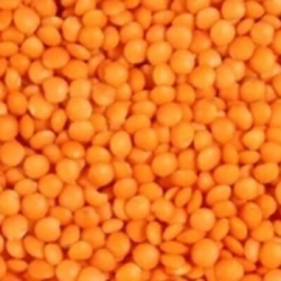 resources of Decorticated Red Lentil exporters