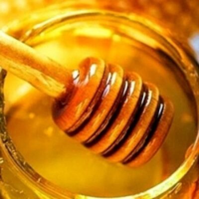 Natural Honey Exporters, Wholesaler & Manufacturer | Globaltradeplaza.com