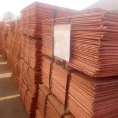 Copper Cathodes Exporters, Wholesaler & Manufacturer | Globaltradeplaza.com