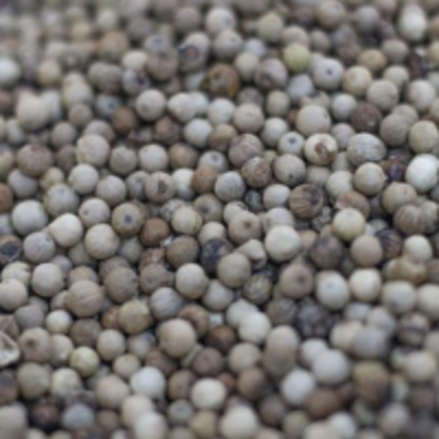 resources of White Pepper exporters