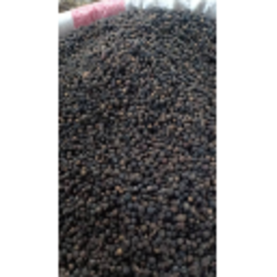 resources of Black Pepper (Whole) exporters