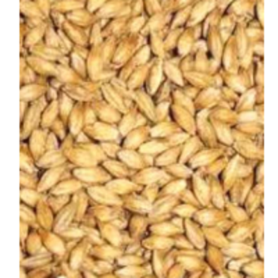 resources of Barley exporters