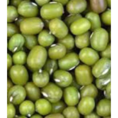 resources of Green Moong Beans exporters