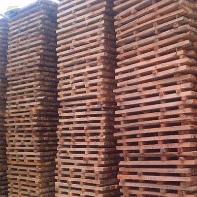 resources of Albasia Falcata Wood exporters