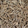 Cumin Seeds Exporters, Wholesaler & Manufacturer | Globaltradeplaza.com