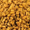 Fenugreek Seeds / Powder Exporters, Wholesaler & Manufacturer | Globaltradeplaza.com