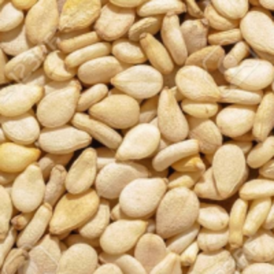 resources of Sesame Seeds exporters