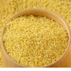 Little Millet Exporters, Wholesaler & Manufacturer | Globaltradeplaza.com