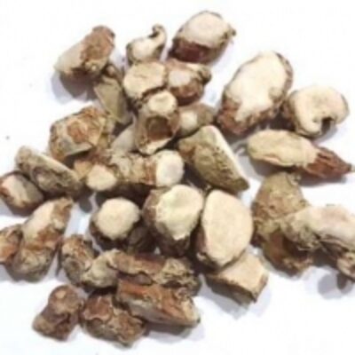 Sand Ginger (Kaempferia Galangal) Exporters, Wholesaler & Manufacturer | Globaltradeplaza.com